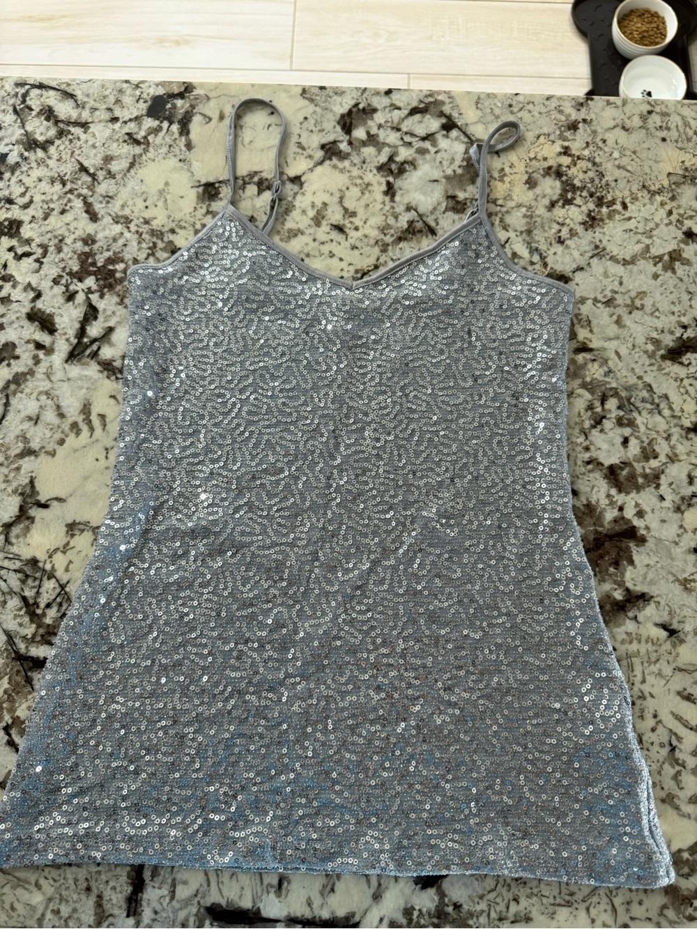 Express Silver Sequin Spaghetti Strap Camisole
